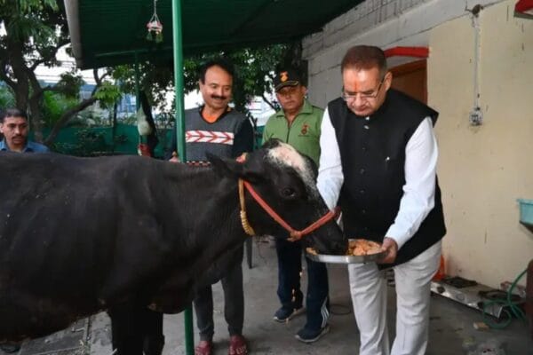 कृषि मंत्री गणेश जोशी ने गोवर्धन पूजा के अवसर पर गौमाता को खिलाया गुड और चना।