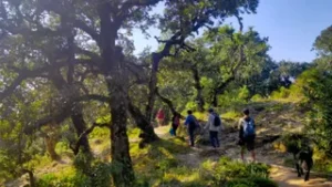 उत्तराखंड में पर्वतारोहण को नई उड़ान 83 प्रमुख हिमालयी चोटियां पर्वतारोहियों के लिए खुलीं