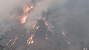 थराली के जंगलों में भीषण आग: 20 हेक्टेयर से अधिक क्षेत्र जलकर खाक, गौशालाओं को खतरा